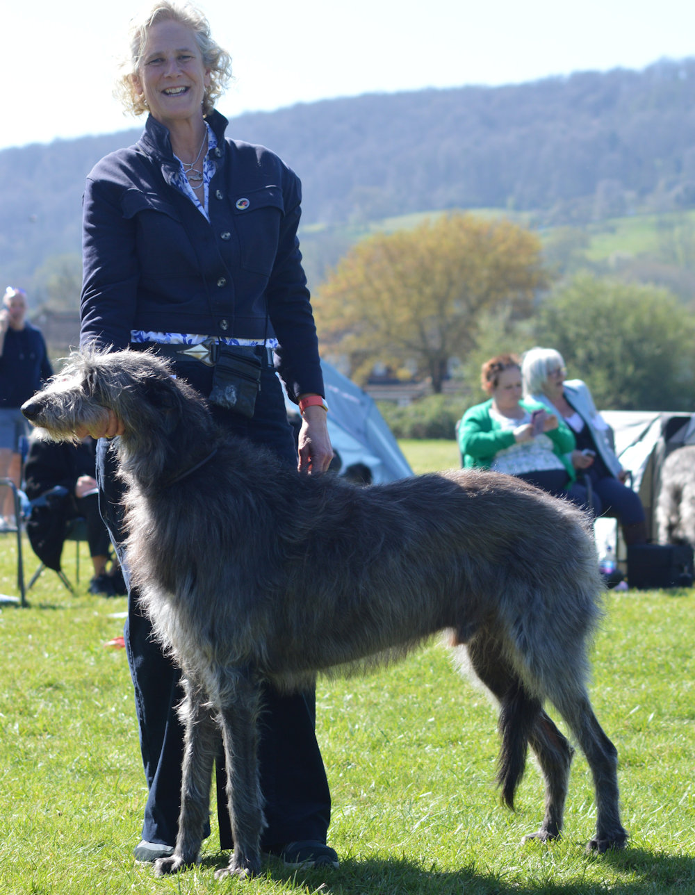 Veteran Dog 1st